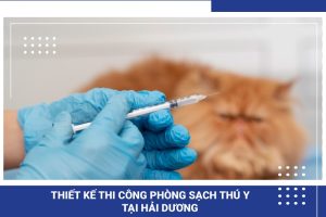 Thiết kế thi công phòng sạch thuốc thú y đạt chuẩn GMP tại Hải Dương